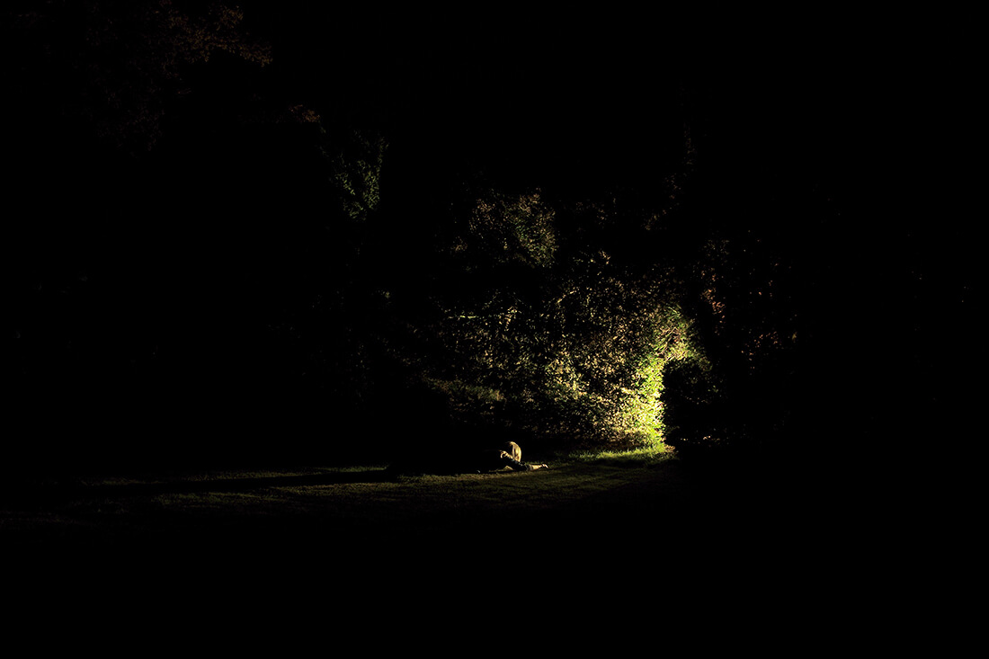 among the shades II